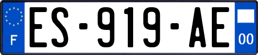 ES-919-AE