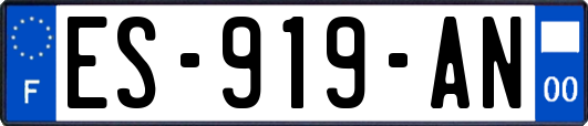 ES-919-AN