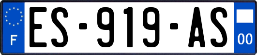 ES-919-AS