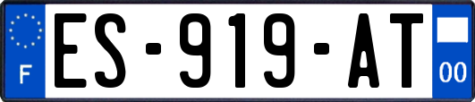 ES-919-AT