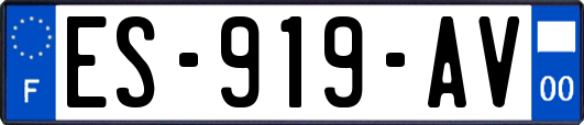 ES-919-AV