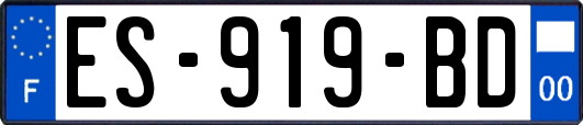 ES-919-BD