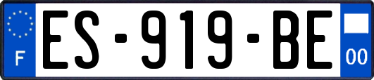 ES-919-BE