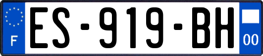 ES-919-BH