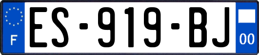 ES-919-BJ