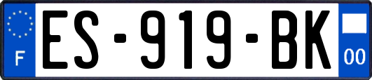 ES-919-BK