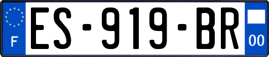 ES-919-BR
