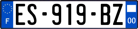 ES-919-BZ