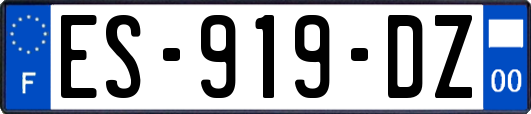 ES-919-DZ