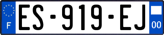 ES-919-EJ