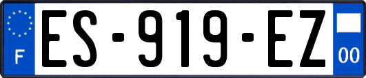 ES-919-EZ