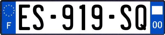 ES-919-SQ
