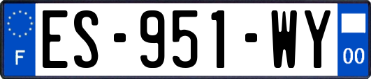 ES-951-WY