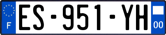 ES-951-YH