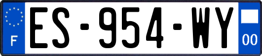 ES-954-WY