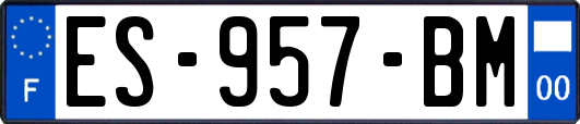 ES-957-BM