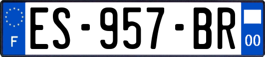 ES-957-BR