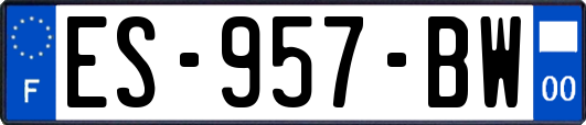 ES-957-BW