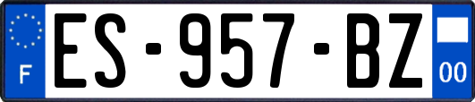 ES-957-BZ