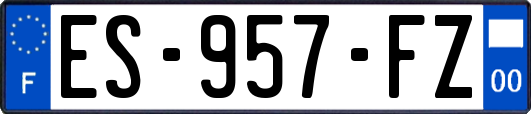ES-957-FZ