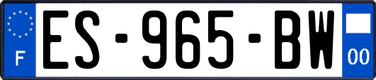 ES-965-BW