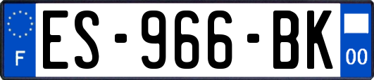 ES-966-BK