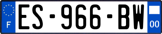 ES-966-BW