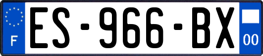 ES-966-BX