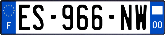 ES-966-NW