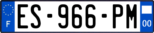 ES-966-PM