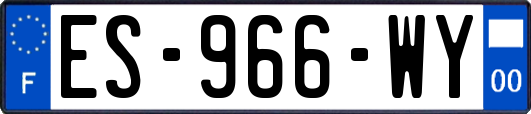 ES-966-WY