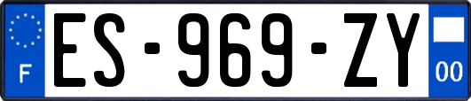 ES-969-ZY