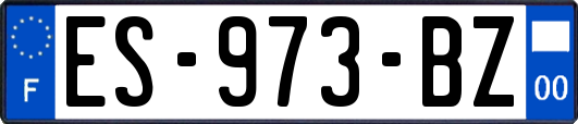 ES-973-BZ