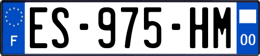 ES-975-HM