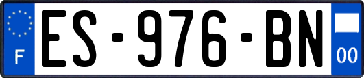 ES-976-BN