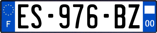 ES-976-BZ