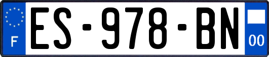 ES-978-BN