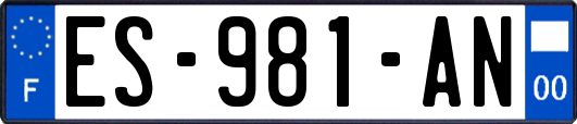 ES-981-AN