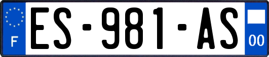 ES-981-AS