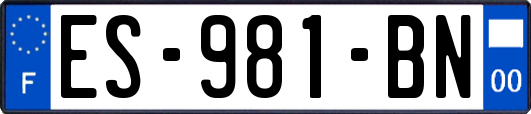 ES-981-BN