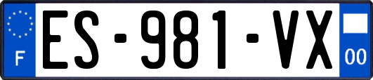ES-981-VX