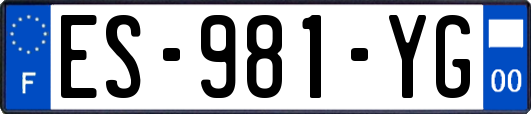 ES-981-YG