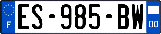 ES-985-BW