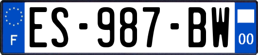 ES-987-BW