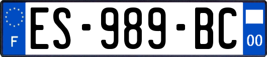 ES-989-BC