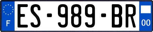 ES-989-BR