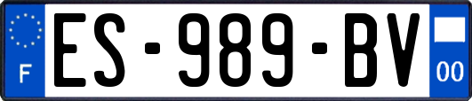ES-989-BV