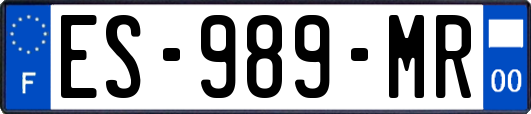 ES-989-MR