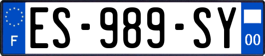 ES-989-SY