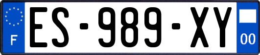 ES-989-XY